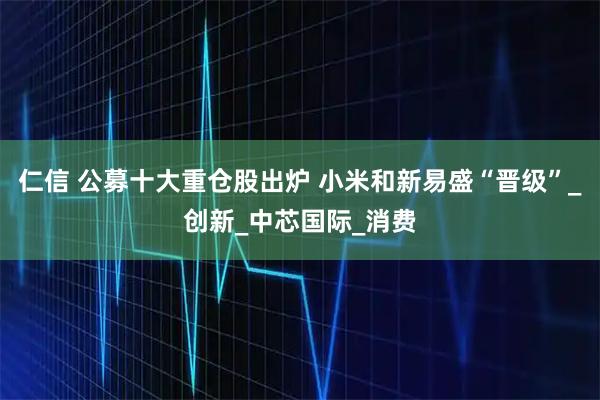 仁信 公募十大重仓股出炉 小米和新易盛“晋级”_创新_中芯国际_消费